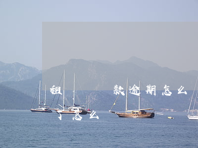 租賃車還款逾期怎么處理(租車逾期了被拖走了怎么辦)