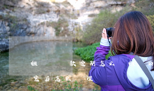 租賃車還款逾期怎么辦(租賃公司貸款買車還完后怎么處理)