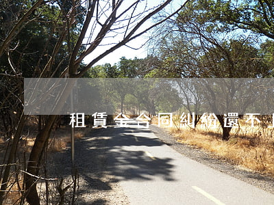 租賃金合同糾紛還不上錢怎么辦
