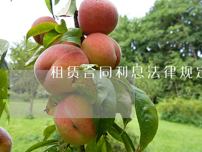 租赁合同利息法律规定(房屋租赁法律条款)