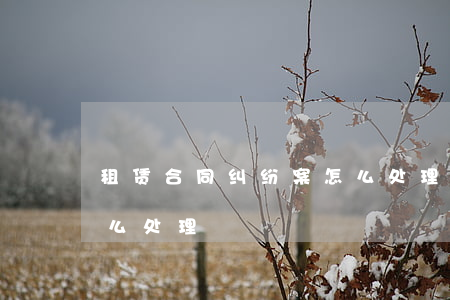租赁合同纠纷案怎么处理(租赁合同纠纷案怎么处理)
