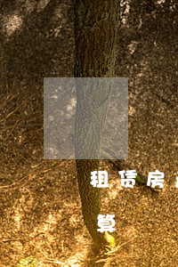 租赁房产税如何计算(租赁房屋的房产税怎么算)