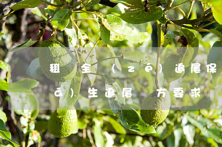 租車全責(zé)追尾保險怎么賠償(發(fā)生追尾對方要求賠租車費(fèi)用)