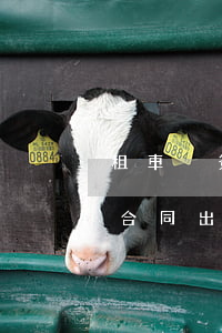 租車沒簽租車合同出交通事故(租車沒簽租車合同出交通事故)