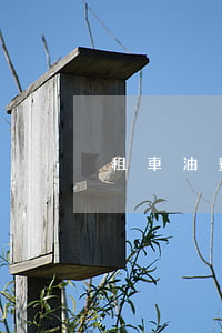 租車油費(fèi)怎么算