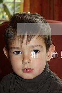 租車逾期被起訴(租車逾期被起訴)