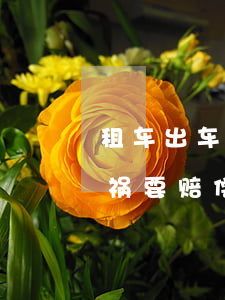 租车出车祸死人需要自己赔偿吗(租车发生车祸要赔偿吗)