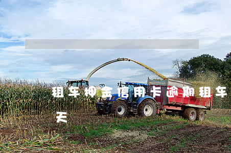 租车押金信用卡逾期(租车押金信用卡逾期一天)
