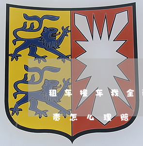 租车撞车我全责该怎么赔偿(跟出租车撞了全责怎么理赔)