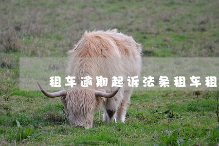 租车逾期起诉法条(租车租金逾期了)