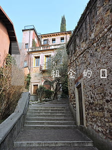 租金的繼承怎么起訴(租金的繼承怎么起訴)