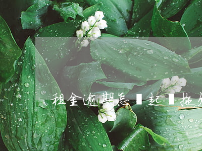 租金逾期怎樣起訴(拖欠租金怎么起訴)