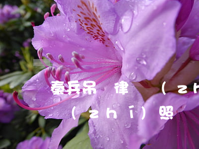 秦兵吊銷律師執(zhí)照(秦兵吊銷律師執(zhí)照)