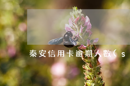 秦安信用卡逾期人數(shù)