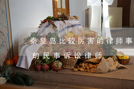 秦皇岛比较厉害的律师事务所(秦皇岛最厉害的民事诉讼律师)