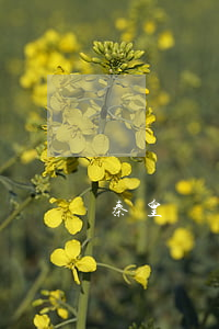 秦皇島債務(wù)轉(zhuǎn)移律師