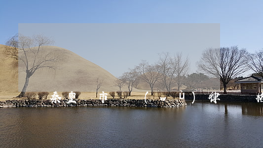 秦皇島市債務(wù)律師價格