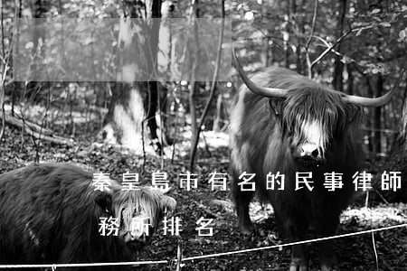 秦皇島市有名的民事律師(秦皇島十大律師事務所排名)