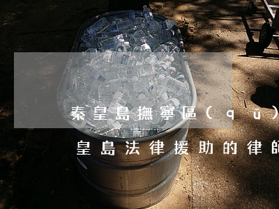 秦皇島撫寧區(qū)債務(wù)律師(秦皇島法律援助的律師)