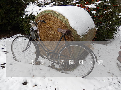 秦皇島法院可以旁聽嗎