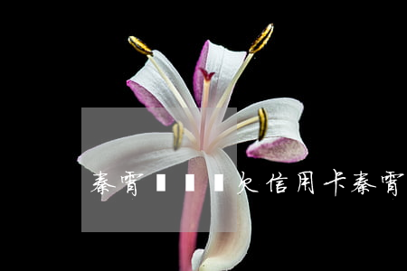 秦霄賢媽媽欠信用卡(秦霄賢 母親)