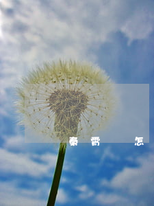 秦霄賢怎么了最近(秦霄賢 怎么了)