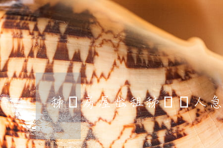 秭歸房屋出租(秭歸個人急售二手房)