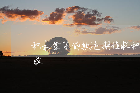 积木盒子贷款逾期催收(积木盒子贷款逾期催收)