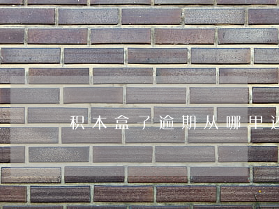 积木盒子逾期从哪里还款