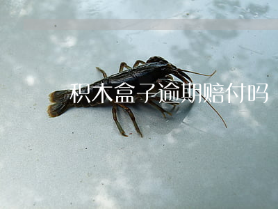 积木盒子逾期赔付吗