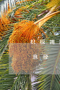 积极拥抱资本市场 ，佛山“上市潮”背后的金融“生意经”