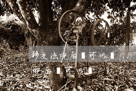 移交法院后還可以報(bào)案嗎(移交法院后還可以報(bào)案嗎)