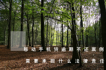 移动手机贷逾期不还案例(手机贷款逾期不还需要承担什么法律责任)