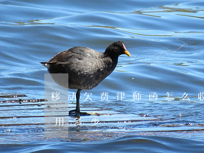 移动欠费律师函怎么收(起诉中国移动,律师费用多少)