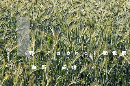 移動(dòng)和包信用購(gòu)逾期影響征信嗎-