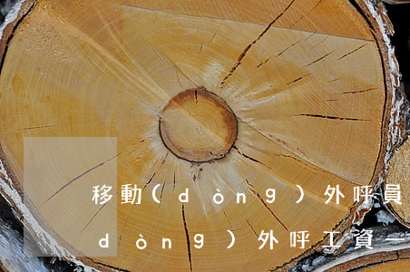 移動(dòng)外呼員一單多少錢(移動(dòng)外呼工資一般多少)