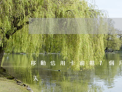 移動信用卡逾期7個月(信用卡不小心逾期7天)