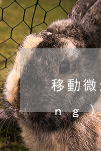 移動微法院可以自己跨省嗎(法院系統(tǒng)跨省調(diào)動如何辦理)