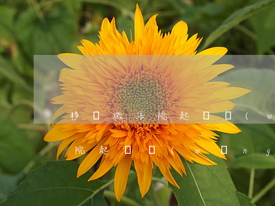 移動微法院起訴網(wǎng)貸（移動微法院起訴網(wǎng)貸）
