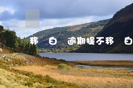 移動白條逾期提不 移動白條逾期提不