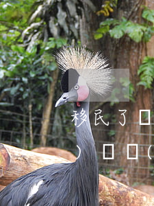 移民了還能繼承財(cái)產(chǎn)嗎(財(cái)產(chǎn)多久沒有繼承歸國家所有)
