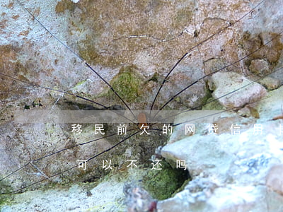 移民前欠的网贷信用卡怎么办(欠网贷移民了可以不还吗)
