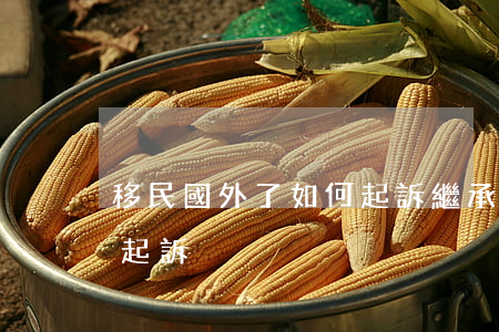移民國外了如何起訴繼承，繼承人在國外如何起訴