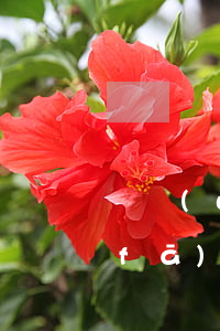 稅務(wù)47號(hào)文逾期發(fā)票(稅務(wù)47號(hào)公告)