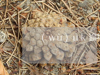 稅務(wù)uk逾期未申報(bào)