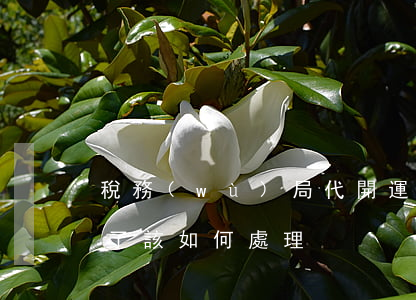 稅務(wù)局代開運輸發(fā)票填錯了該如何處理