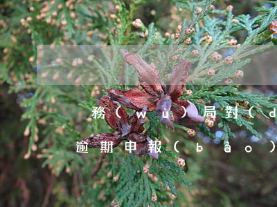 稅務(wù)局對(duì)個(gè)稅逾期申報(bào)的處理細(xì)則-稅務(wù)局對(duì)個(gè)稅逾期申報(bào)的處理細(xì)則是什么