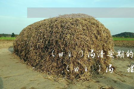 稅務(wù)局清逾期的稅是不是要交錢呢-稅務(wù)局處理逾期