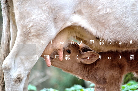 稅務(wù)申報(bào)連續(xù)逾期申報(bào)罰款幾次-
