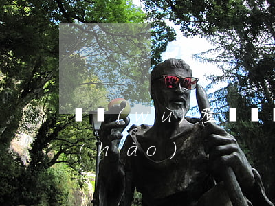 稅務(wù)登記證(稅務(wù)登記證號(hào))